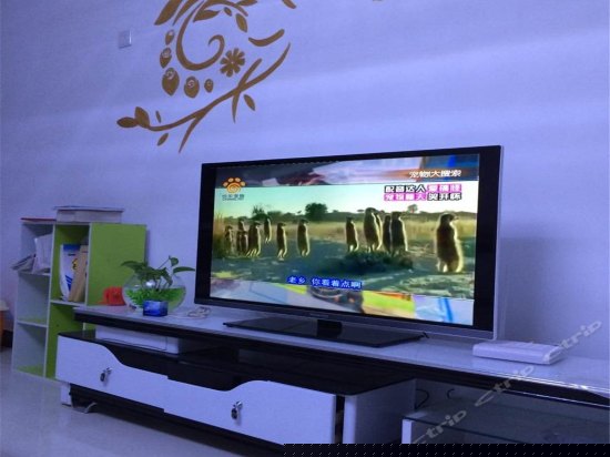 三室二厅一卫