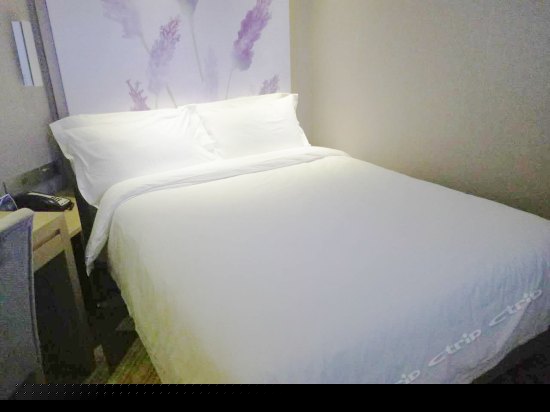 标准大床房（无窗）