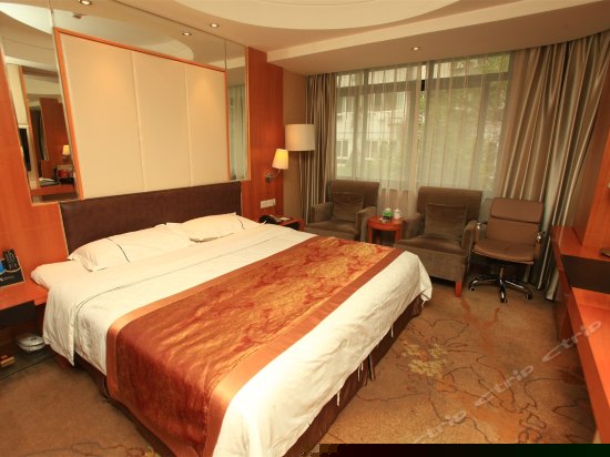 普通单人欧式园景大床房