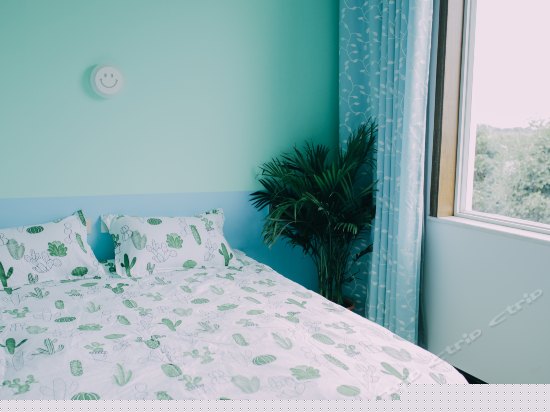 西窗一号清新风景间