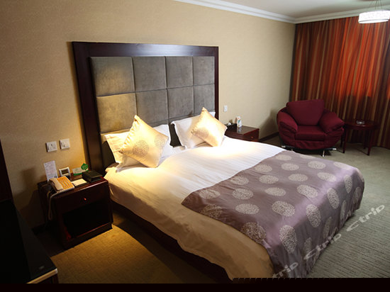 高级商务单人间B