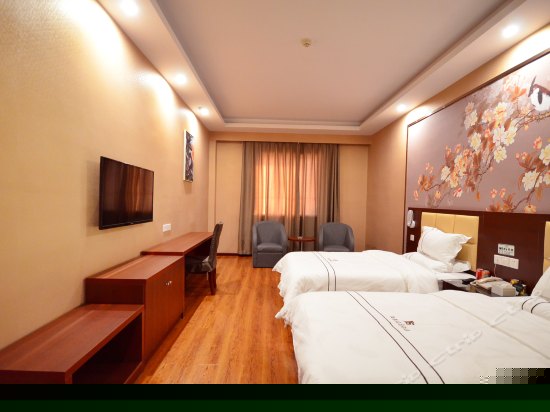 高级双床房