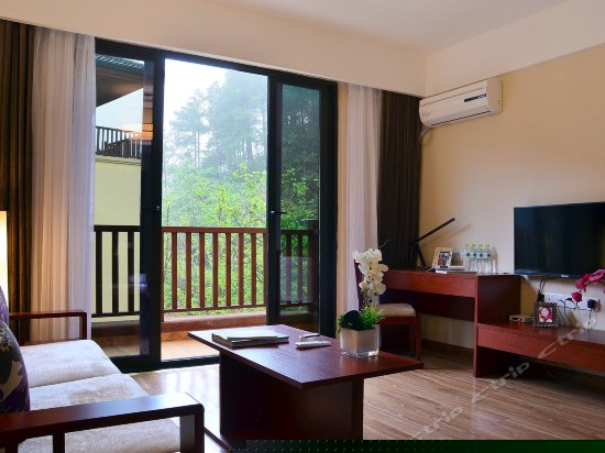 豪华山景单卧大床套房