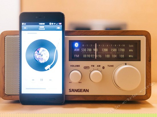 303两面远眺园景大床房