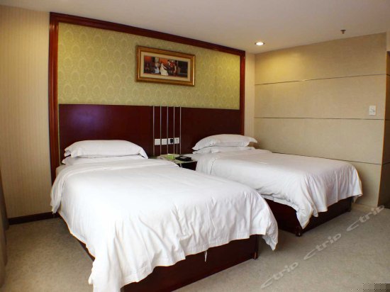 标准双床房