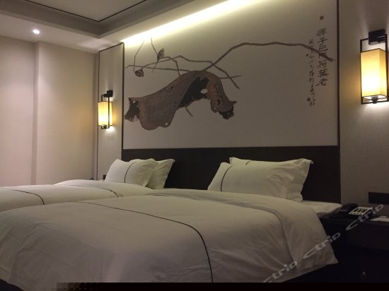 高级豪华双人间