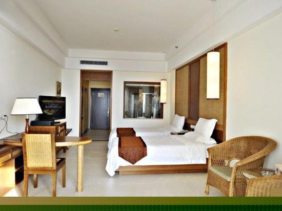 高级园景双标房