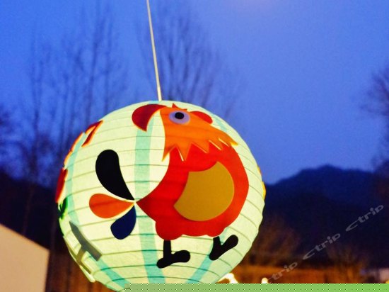 儿童乐园/儿童俱乐部