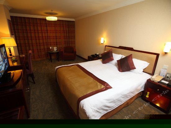 高级商务标准间A