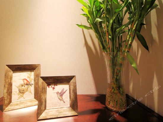 精品城景双床间