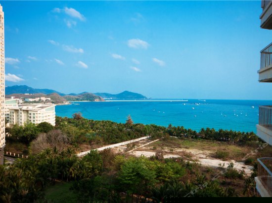 高层豪华正海景一房一厅套房