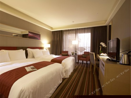 豪华双床房