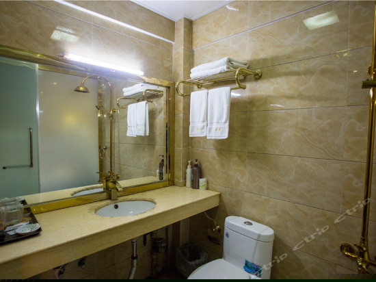 花园式大床房（带观景吊篮）