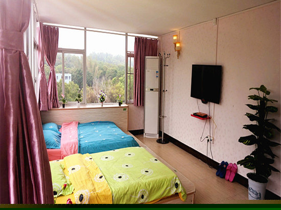 豪华观景双床房