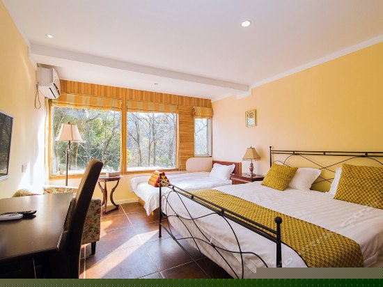 B203豪华山景亲子房