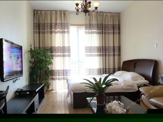 经典一室一厅大套房