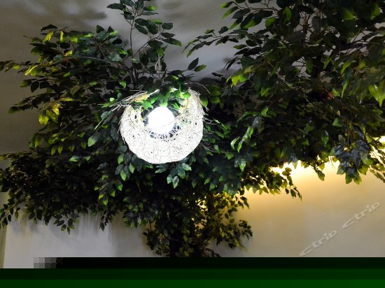 漫步丛林主题房