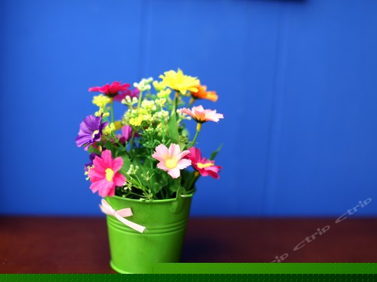 落日扬帆大床房