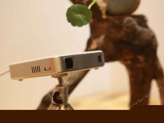 阳光蜜月大床房