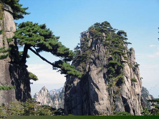 周边图片