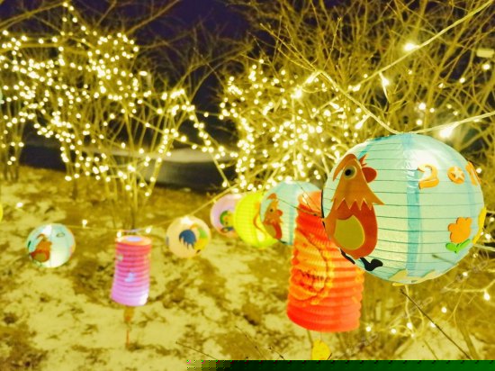 儿童乐园/儿童俱乐部