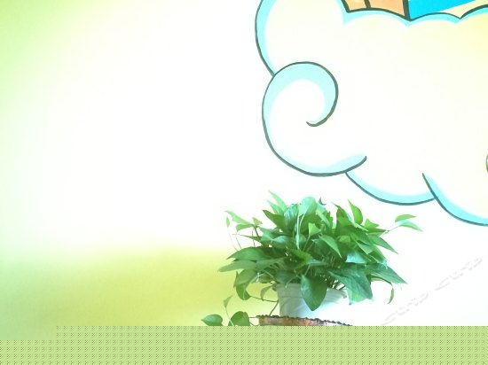 彩绘园景标准间