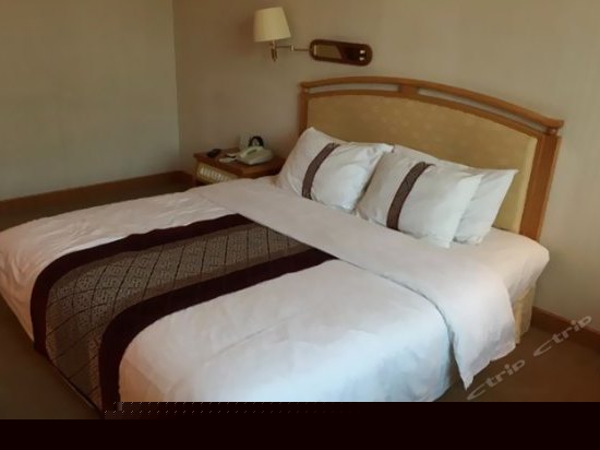 温馨房（无窗）