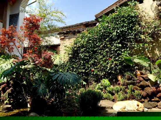 二楼阳光观景大床房