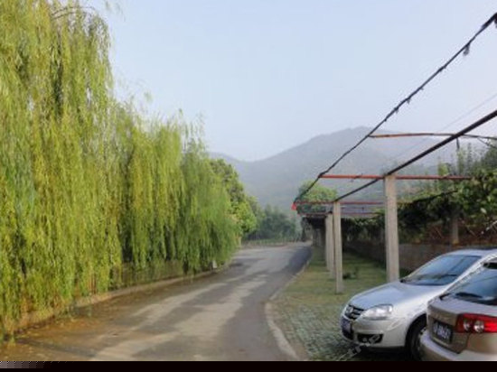 周边图片