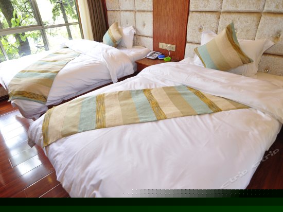 鸟巢主题标准间