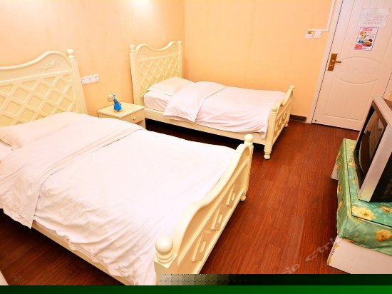 金海螺双床房