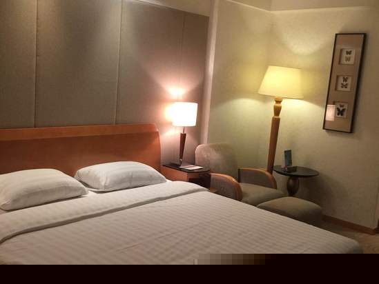 酒店房型
