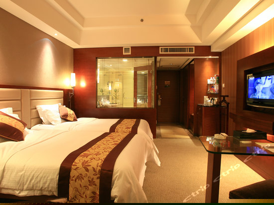 豪华行政双人间