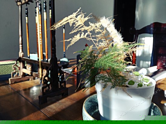 观山看海大理古城别墅