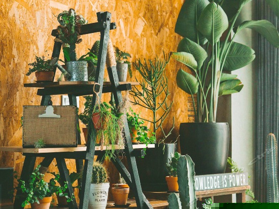 RoomN海景双人房