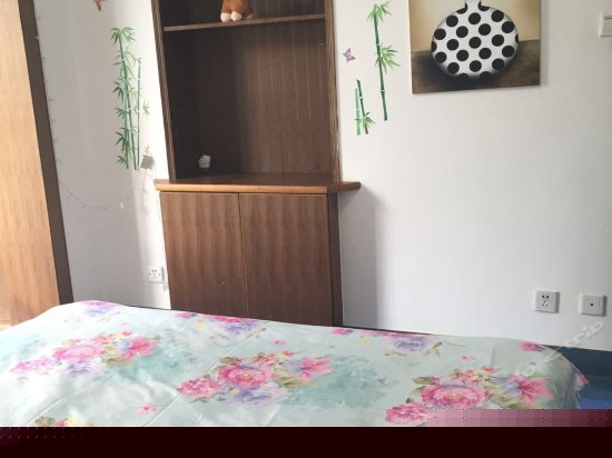 一房一厅一厨一卫温馨景区房