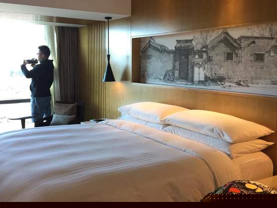 酒店房型