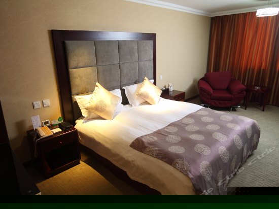 高级商务标准间B