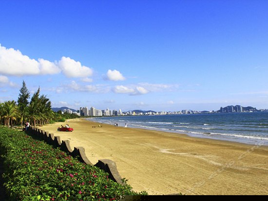 豪华园景大床房