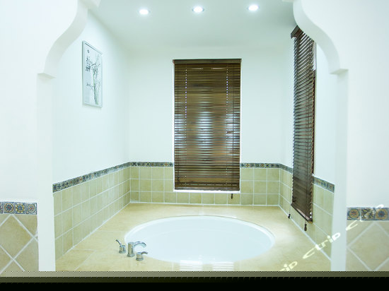 无敌至尊豪华别墅