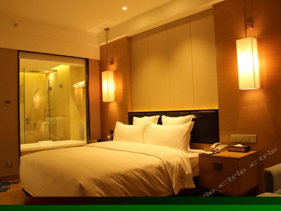 行政豪华大床房