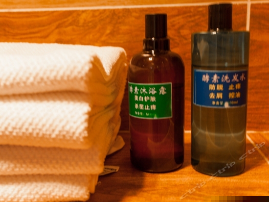 园景榻榻米双床房