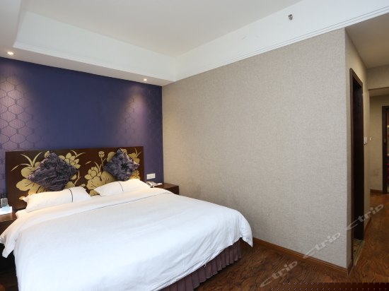 豪华数码商务套房