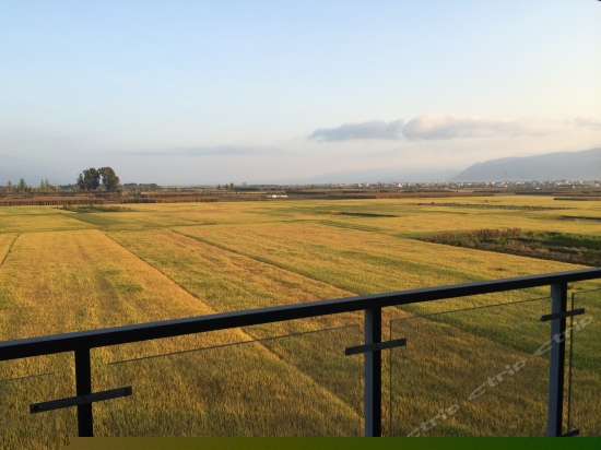 处暑高级田园大床房