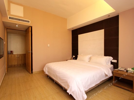 VIP豪华商务套房