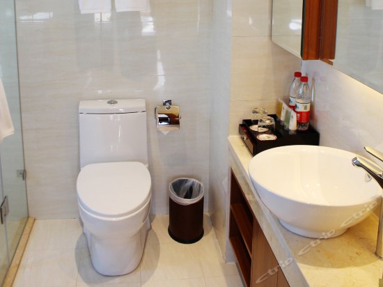 豪华商务双床房