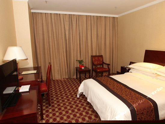 普通大床房