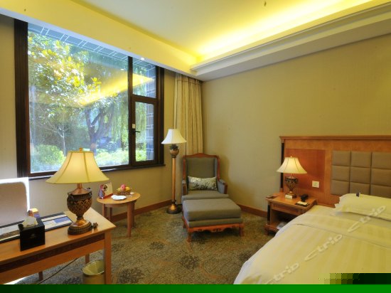 花园别墅高级标准房