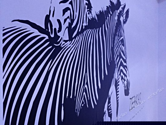 洱海天域国际公寓三房两厅两卫三阳台