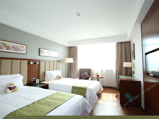 和颐净馨标准间